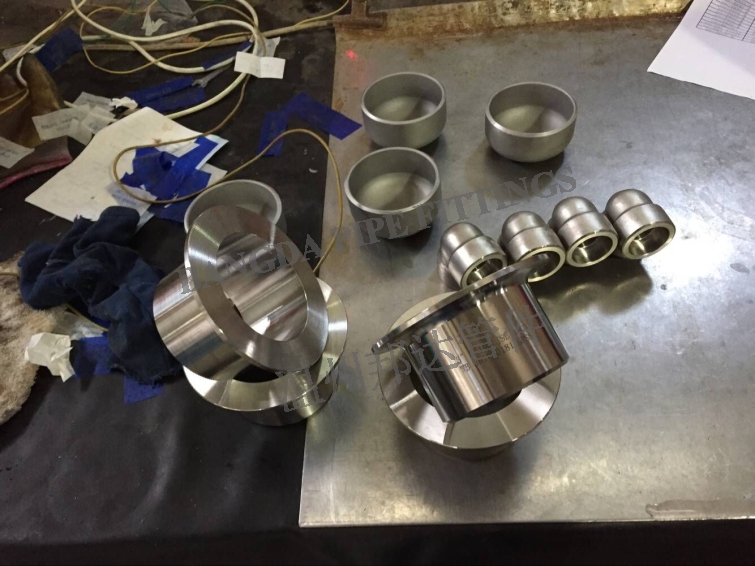 S31254����־�������